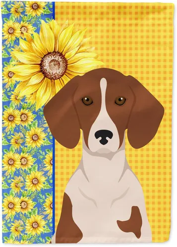 Miniatura 353 de Caroline's Treasures WDK5331CHF - Bandera de verano con diseño de girasoles rojos y blancos, manga grande, para porche, para colgar en la pared