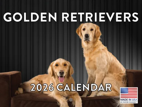 Miniatura 186 de Calendario de pared mensual 2025 Great Dane de 12 meses, fabricado en Estados Unidos