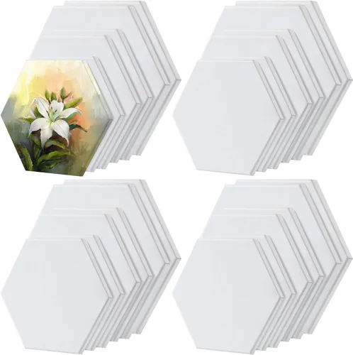 Thenshop 24 piezas de lienzos estirados para pintar tablero de lienzo en blanco a granel, marco cuadrado redondo hexagonal en forma de corazón para