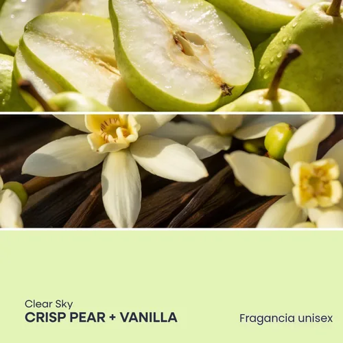 Miniatura 3 de Duradry Desodorante antitranspirante de fuerza clínica para mujeres y hombres, fórmula limpia con ingredientes naturales para protección contra