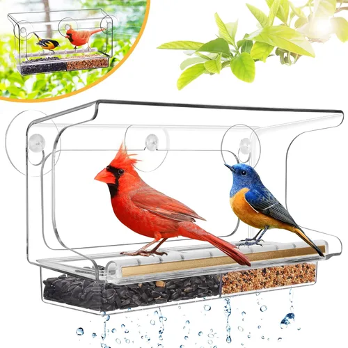 LUJII Comedero para pájaros de ventana irrompible con las ventosas más fuertes, alimentador de policarbonato para montaje en ventana con vista