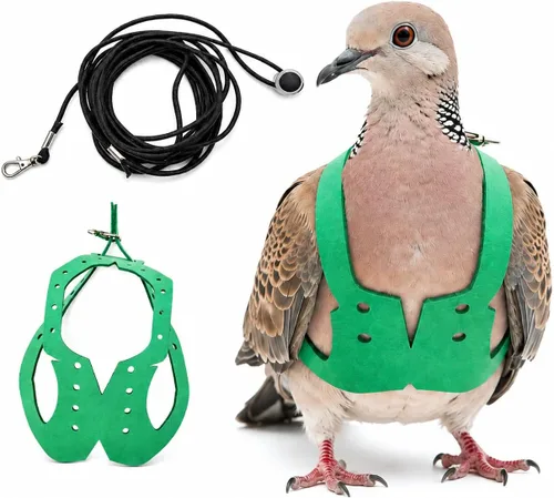 Miniatura 12 de Juego de arnés ajustable y correa para pájaros pequeños, apto para periquitos, conures, cacatúas, mejillas verdes, loros cuáqueros (verde, XS) 6350-6