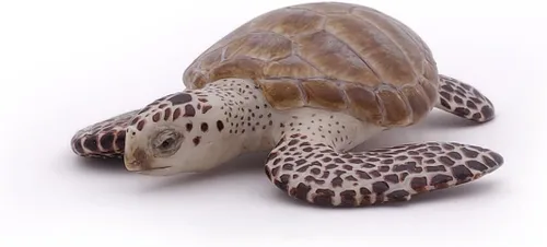 Miniatura 5 de Papo - Figura realista de tortuga marina boba - A partir de 3 años - Colección de vida marina - Animales marinos educativos - Juguete de idea