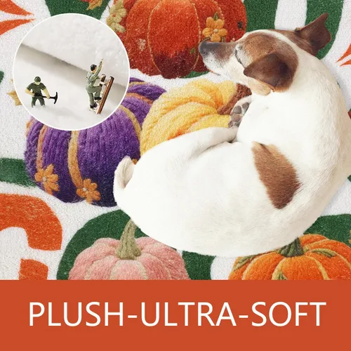 Miniatura 4 de SHIYUE You Look Good - Alfombra de baño divertida y bonita alfombra de baño con diseño de calabaza de otoño, suave, absorbente de agua