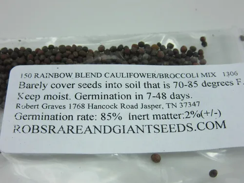 Miniatura 2 de UPC0764425788942 - Semillas de coliflor, mezcla de brócoli (Brassica oleracea) 1306-Rainbow Blend UPC0764425788942 Sin OMG, orgánico, plantas