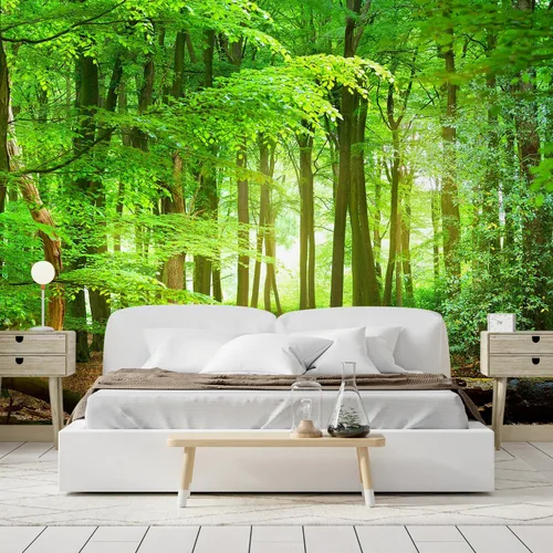 Miniatura 3 de SIGNFORD - Papel tapiz de diseño de bosque, removible para dormitorio o sala de estar, 100 x 144 pulgadas Bosque1-1911-m17
