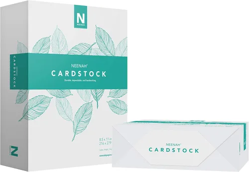 Neenah Vellum Bristol Cartulina, Peso Ligero, 2 Paquetes de 325 Hojas/650 Hojas, 67 lb/147 gsm, 94 Brillo, 8.5" x 11" - ¡MÁS HOJAS! (91633-01)