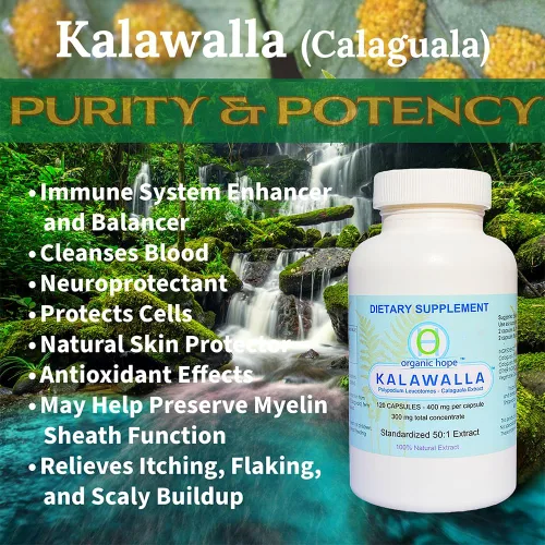 Miniatura 5 de (Calaguala) con Polypodium Leucotomos para el apoyo del sistema inmunológico, extracto 50:1 de mayor potencia 400 mg (120 cápsulas vegetales)
