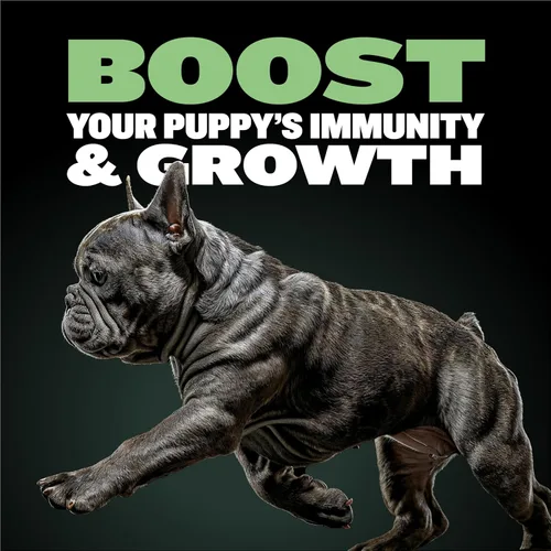 Miniatura 3 de Bully Max Puppy Food 24/14 con alto contenido de proteínas y fórmula de crecimiento, alimento seco para perros con cordero y arroz para perros