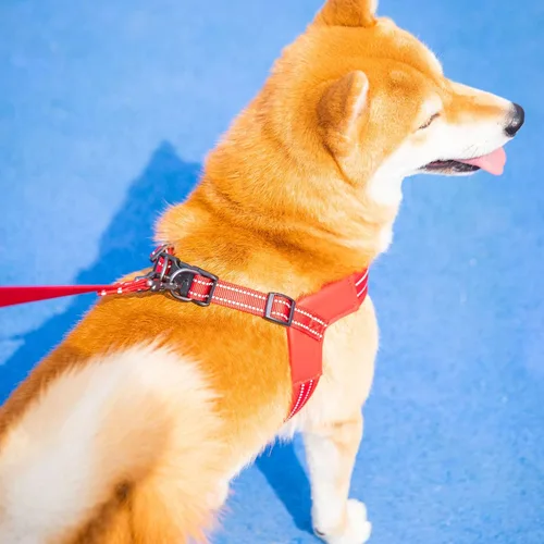 Miniatura 3 de EXCELLENT ELITE SPANKER Arnés para perro sin tirones Paso ajustable Chaleco reflectante con acolchado suave Correa para pecho para mascotas