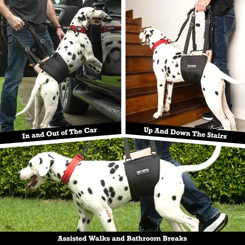 Miniatura 8 de Tuff Pupper Arnés de cadera para perros Soporte de elevación trasera para perros mayores y lesionados Ayuda de movilidad ajustable Mango