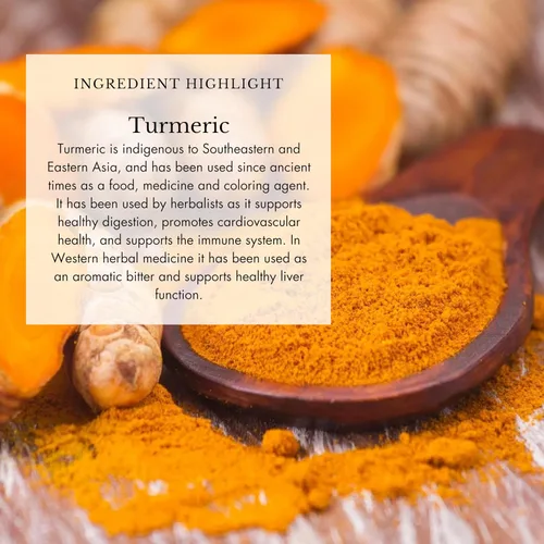 Miniatura 4 de Anima Mundi Apothecary Tónico para el resfriado y la gripe - Gotas de apoyo inmunológico con equinácea, ajo, raíz de cúrcuma y jengibre fresco
