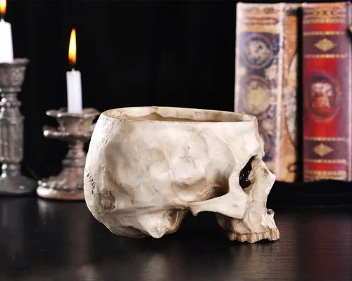 Miniatura 3 de IBWell Maceta moderna de resina grande de 6 pulgadas con diseño de calavera en forma de calavera para flores, decoración de maceta, decoración