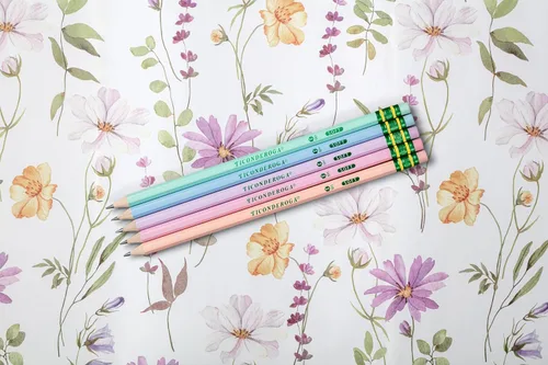 Miniatura 8 de Ticonderoga® Lápices pastel, 2 suaves, colores surtidos, paquete de 10 lápices