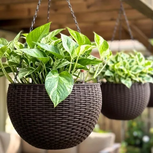 Miniatura 10 de LaLaGreen - Macetas colgantes para plantas de interior (11 pulgadas, paquete de 3) macetas colgantes redondas de ratán con indicador de nivel