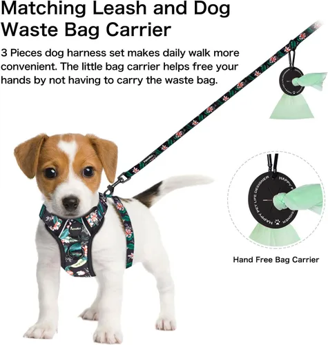 Miniatura 4 de Petmolico Arnés para perros pequeños, bonito arnés con dos clips para correa y mango suave, chaleco reflectante para cachorros fácil de caminar