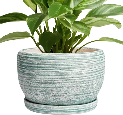Miniatura 51 de SQOWL Macetas de cerámica – Maceta de 6 pulgadas con orificio de drenaje y bandeja, maceta redonda para plantas de interior, maceta decorativa