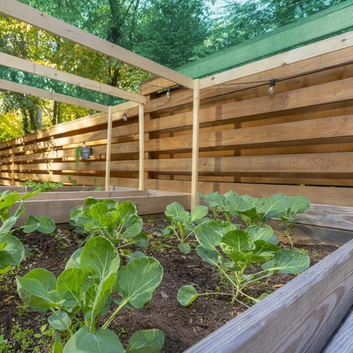 Miniatura 3 de Coolaroo Tela de sombra de jardín con 50% de bloqueo UV para plantas, tela transpirable resistente al desgarro para invernaderos, plántulas y Verde