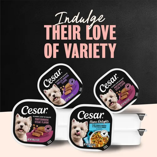 Miniatura 7 de Cesar Home Delights - Comida húmeda para perros adultos, pollo y verduras de cocción lenta en salsa y estofado de ternera, lote variado, comida