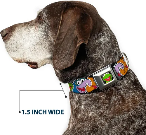 Miniatura 7 de Collar de perro hebilla de cinturón de seguridad Muppets Caras de cerca negro 9 a 15 pulgadas 1.0 pulgadas de ancho