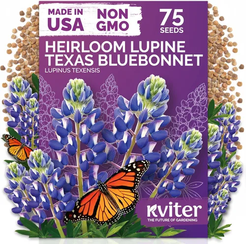 Miniatura 13 de KVITER 500 semillas de caléndula Cracker Jack (Tagetes Erecta) – Caléndula africana, flor gigante, semillas de reliquia sin OMG – Semillas de flores