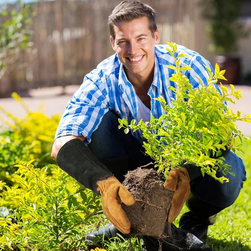 Miniatura 5 de HANDLANDY Guantes de jardinería de cuero para hombres y mujeres, guantes de jardín a prueba de espinas para poda de rosas, guantes de manopla
