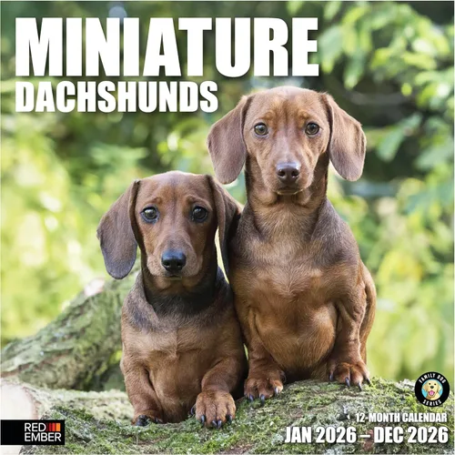 Miniatura 9 de RED EMBER Calendario de pared 2025 con diseño de cachorros de 12 meses, 12 x 24 pulgadas, abierto, papel grueso y resistente, para regalo