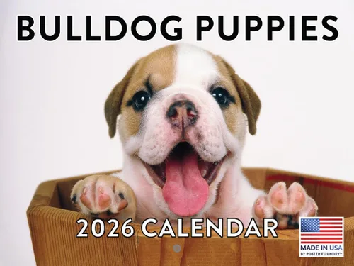 Miniatura 21 de Calendario de pared mensual 2025 Great Dane de 12 meses, fabricado en Estados Unidos