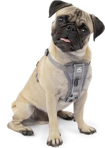 Miniatura 12 de Kurgo Tru-Fit - Arnés inteligente para caminar para perros, ajuste cómodo, arnés ajustable, reflectante para mascotas, liberación rápida