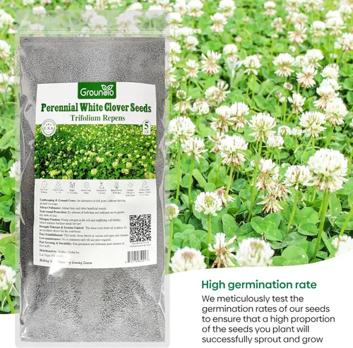 Miniatura 4 de Groundio White Clover Seeds for Lawn Alternative