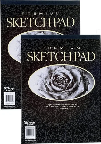 Cuaderno de bocetos de alta calidad, 9 x 12 pulgadas, 40 hojas por libro, excelente para lápiz, pastel, carbón y crayón de Northland Wholesale. (2