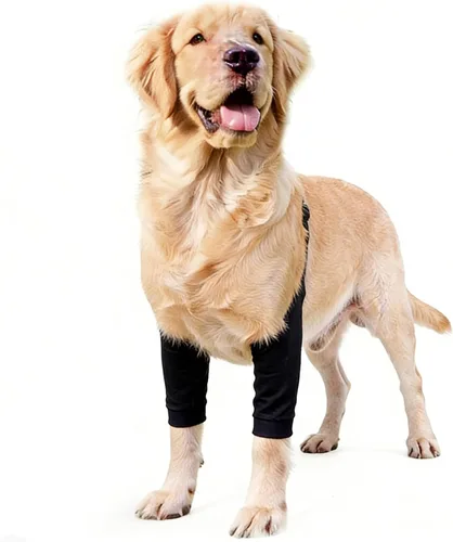Manga de recuperación para perros con banda elástica para piernas o articulaciones lesionadas, tirantes ajustables para patas delanteras de