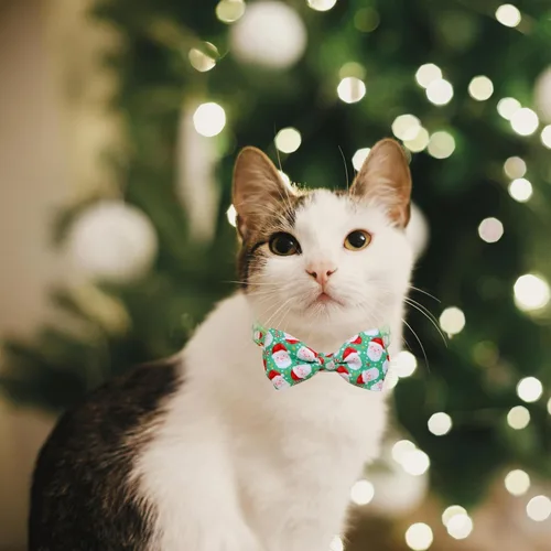 Miniatura 6 de Paquete de 2 collares de gato de Papá Noel de Navidad con patas de invierno y copo de nieve con pajarita y campana, lindo collar de gatito navideño
