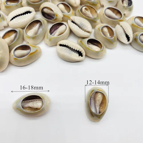 Miniatura 3 de 100 cuentas de concha de cauri naturales fuertes blancas de 0.63 a 0.71 pulgadas, conchas marinas ovaladas de corte liso, conchas marinas de playa