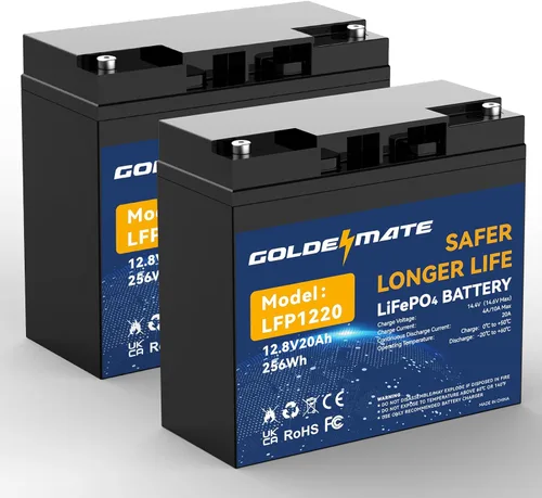 GOLDENMATE Batería LiFePO4 de 12 V 20 Ah (2 paquetes), batería de litio de 12 V con más de 5000 ciclos profundos, BMS integrado y celdas de batería