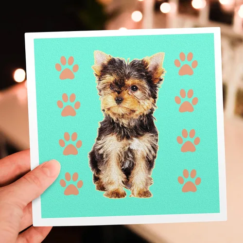 Miniatura 7 de 3dRose Tarjetas de felicitación - Taza de té Yorkie - Paquete de 6 - Perros