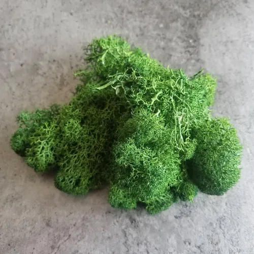 Miniatura 4 de Musgo de Reno Preservado Verde Natural Kit de Bricolaje Arte de Jardinería Decoración de Pared Decoración de Floristería Decoración de Mesa