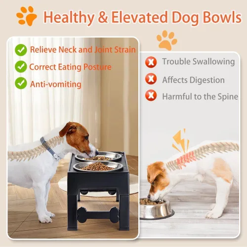 Miniatura 4 de Marchul Cuencos elevados para perros, cuencos elevados de agua para alimentos para perros con 2 cuencos gruesos de acero inoxidable, 4 alturas