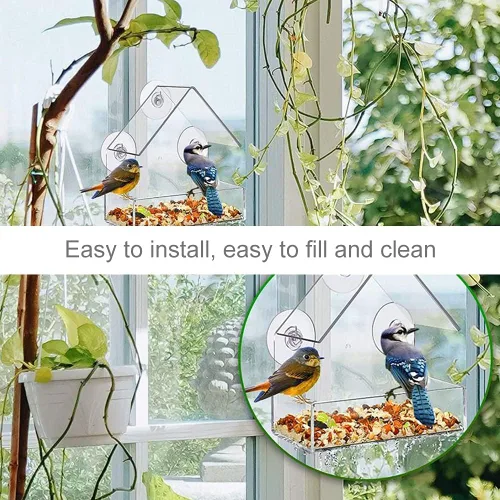 Miniatura 3 de Ochine Casa para pájaros con ventosa fuerte, casa de pájaros de madera, ventana transparente, comedero para pájaros al aire libre, jaula para nido