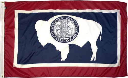 Miniatura 65 de FlagSource Bandera del estado de nailon de Iowa, fabricada en los Estados Unidos, 4 x 6 pies Iowa 4x6