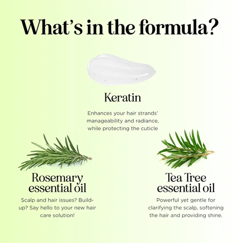 Miniatura 6 de Juego de champú y acondicionador de árbol de té, champú y acondicionador aclarante sin sulfato para el cuidado del cabello graso y el cuero