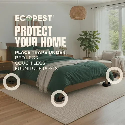 Miniatura 11 de Interceptores para insectos de cama, paquete de 12 Trampas interceptoras para insectos (Pro) (negro) Trampa ecológica para patas de cama Sin
