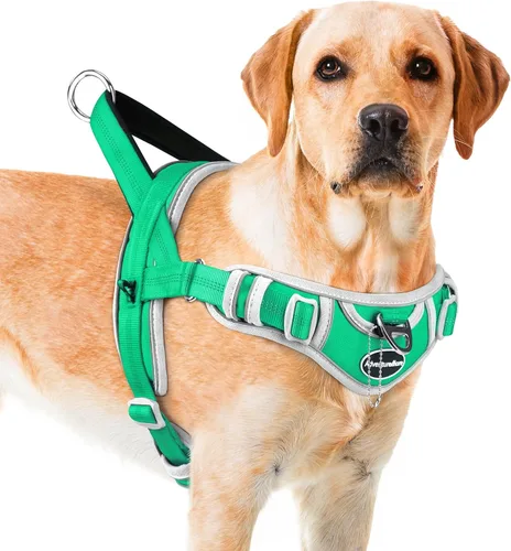 Miniatura 15 de ADVENTUREMORE Arnés para perros grandes, antitirones, arnés deportivo para perro, reflectante, transpirable, chaleco para perro, a prueba de Al