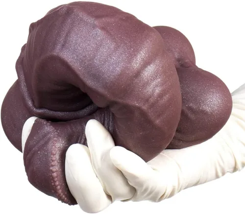 Miniatura 3 de Consolador realista inspirado en caballos, textura y diseño realistas, silicona segura para el cuerpo, base de ventosa para diversión manos libres