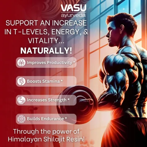 Miniatura 2 de VASU Ayurveda Himalayan Shilajit Resina 400 mg – Potenciador de energía natural probado en laboratorio con ácido fúlvico y más de 85 minerales traza