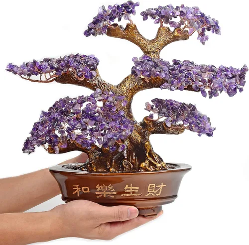 KALIFANO Premium árbol de piedras preciosas – Bonsai Feng Shui Money Tree con propiedades curativas Amatista