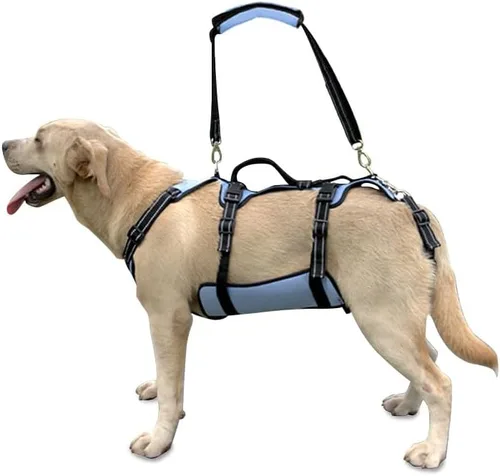Arnés de elevación para perros Coodeo, soporte completo del cuerpo y correa de recuperación, chaleco de elevación para rehabilitación de mascotas