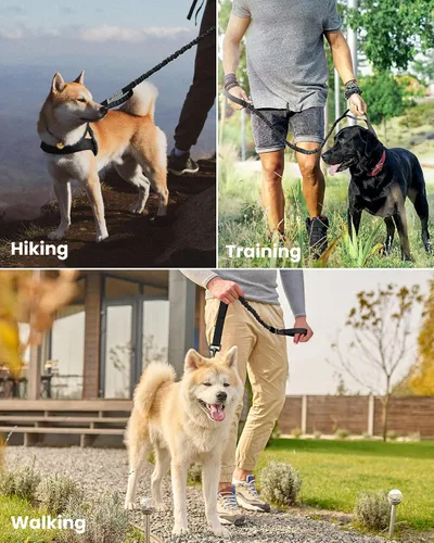Miniatura 6 de Correa de cuerda elástica para perros Outdoormaster; para mayor seguridad y comodidad de su perro., M