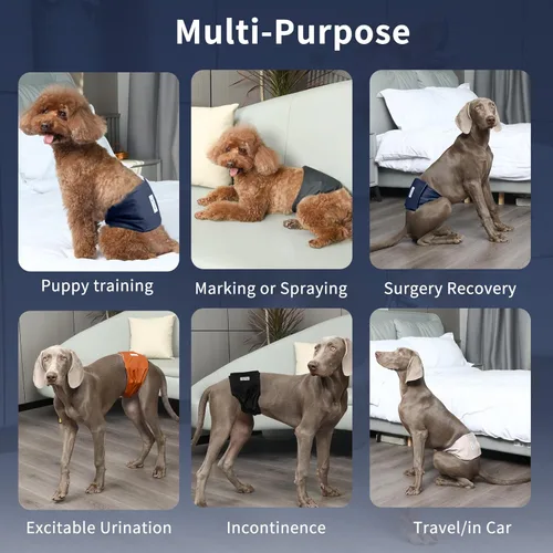 Miniatura 3 de JoyDaog Bandas reutilizables para el vientre para perros machos, paquete de 5 pañales lavables de primera calidad para perros, pañales