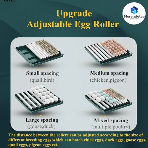 Miniatura 4 de Incubadora automática de huevos de 24 a 60 huevos Incubadoras inteligentes automáticas para incubar huevos, máquina de incubación de aves de corral